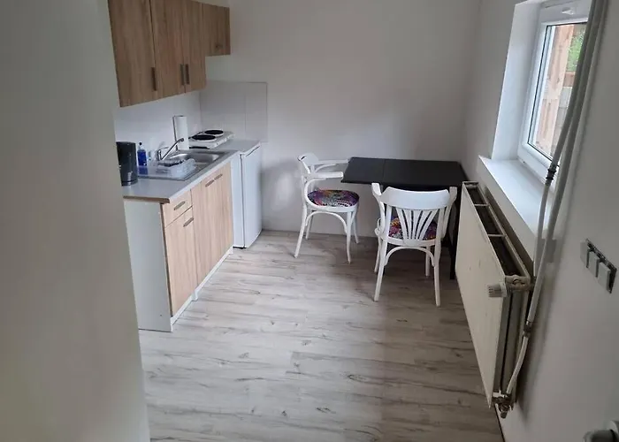 Ferienwohnung/monteurwohnung Alte Garage *